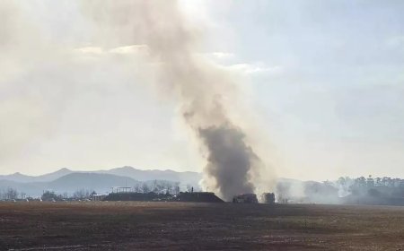 South Korea: 181 यात्रियों से भरे विमान के दुर्घटना  से 60 से अधिक लोगों की मौत